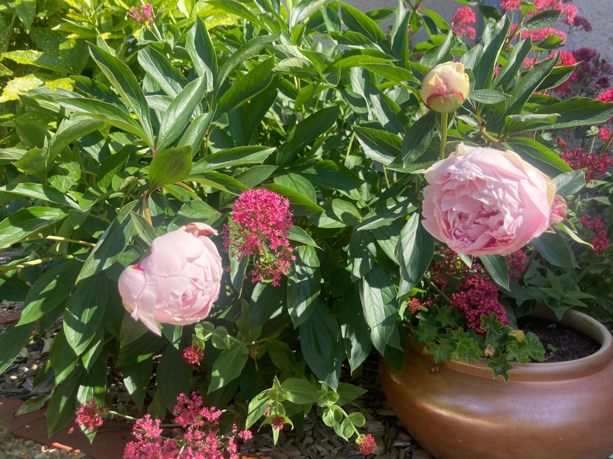 Varennes-les-Narcy Logis Cote Jardin 빌라 외부 사진